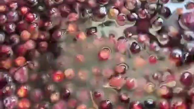 Kis kis ko faalse ka juice pasand hai