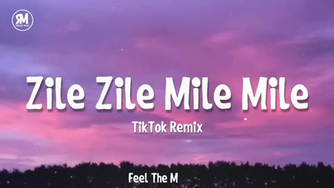 Zile Zile Mile Mile TikTok Remix Song