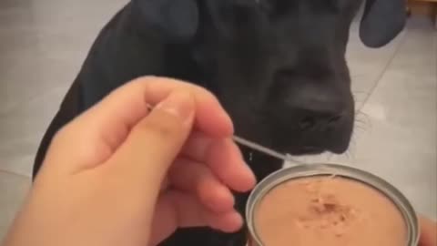 Best video!!