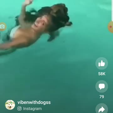 DOG SAVING WOMEN HE THINKS IS IN DISTRESS