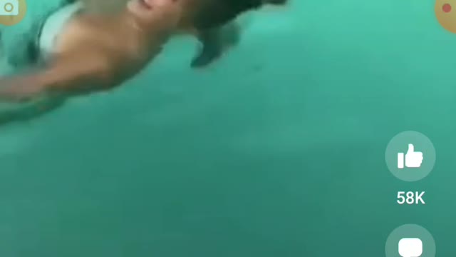 DOG SAVING WOMEN HE THINKS IS IN DISTRESS
