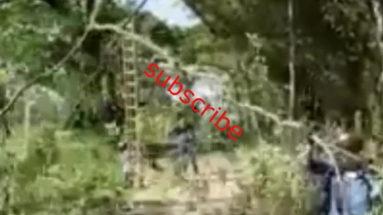 funny stories