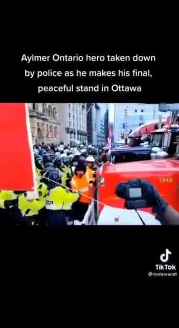 Footage shows freedom protestor being punched, pepper sprayed and hit with a baton by police officers