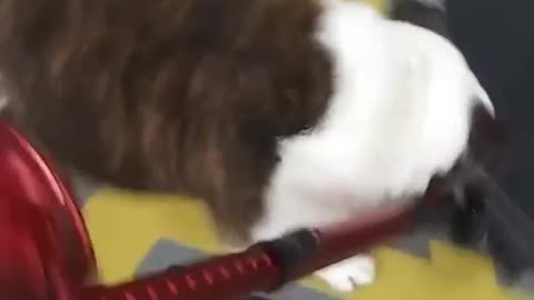 Little F*****