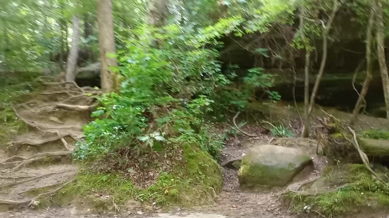 Kinlock Falls