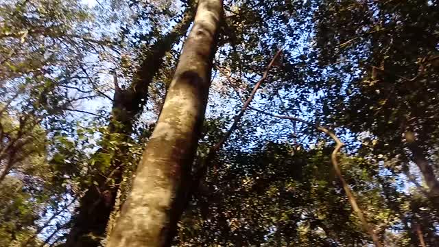Wonderful nature