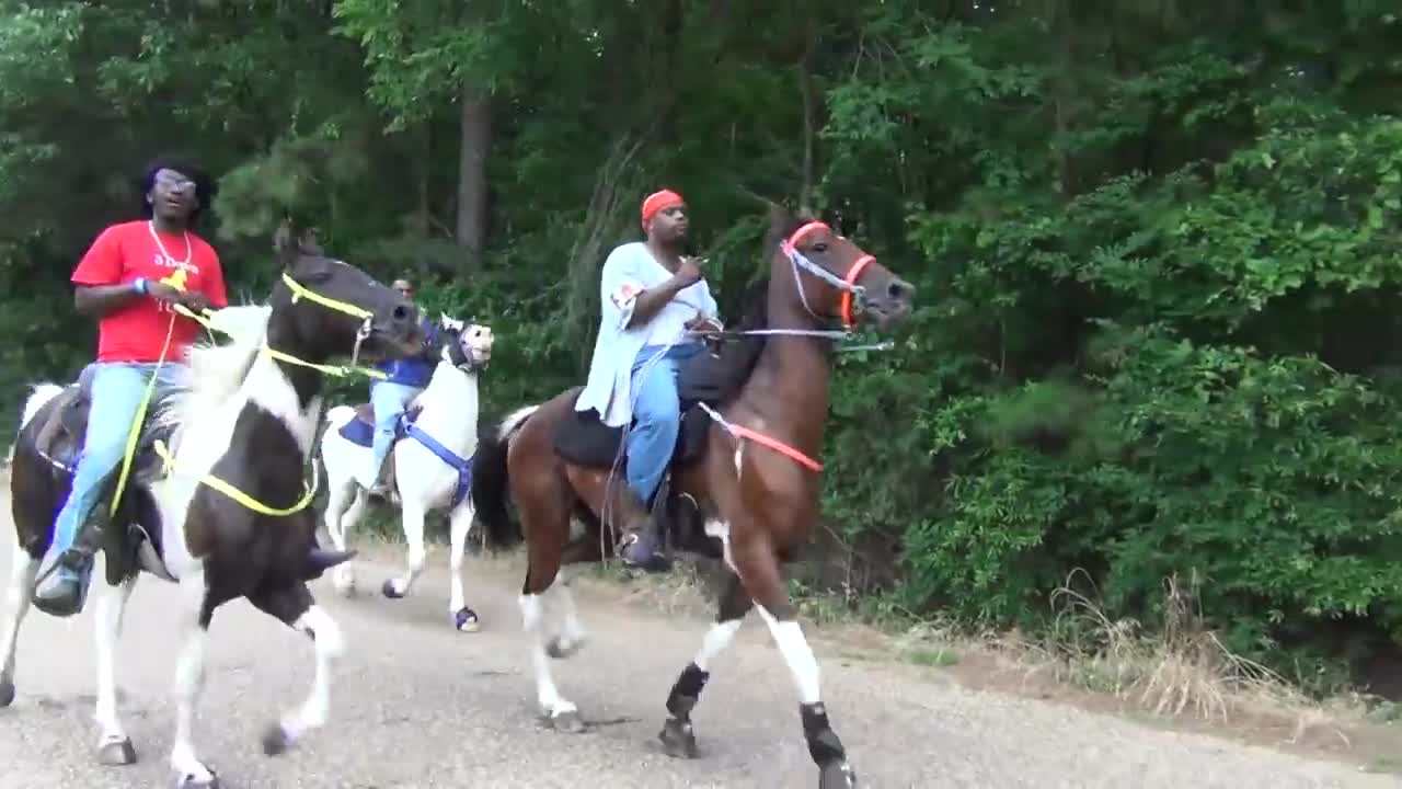 "BIG" Front Action Ryders Annual Walking Horse Trail Ride in Ogden, Arkansas-3