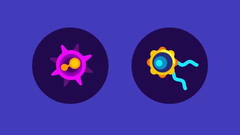 Coronavirus explained