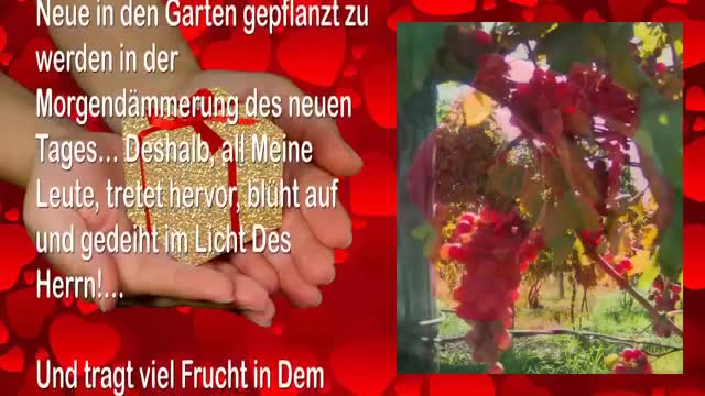 Wie soll Jemand, der die Hand wegstösst, das Geschenk empfangen ... 🎺 Die Trompete Gottes