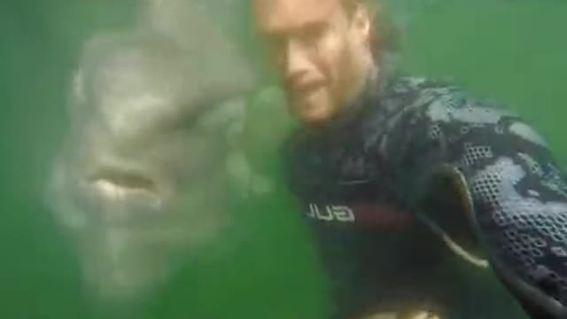 Dude how can you swim with that thing ?