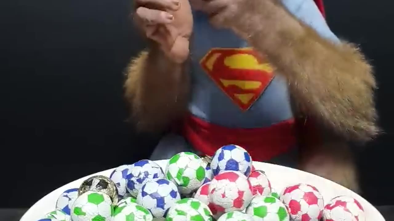 Funny Monkey Eating Sugar Balls