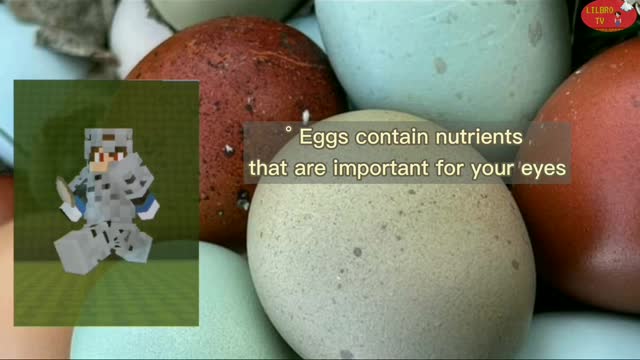 Health Benefits of Eggs| Trivia of the day