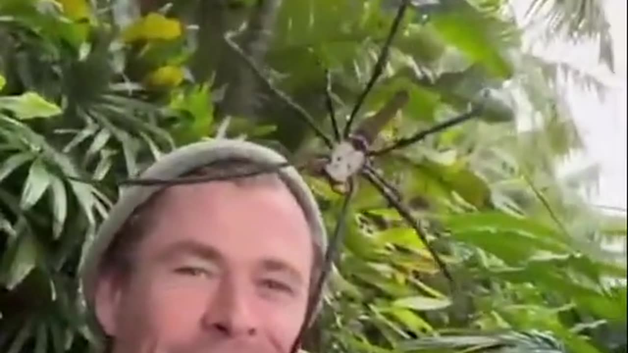 Chris Hemsworth's insane brave interaction with deadly spider