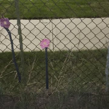 Textiles on the school fence