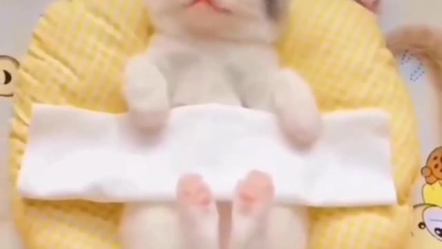 this cuteness can imerger you to heaven😍🥰