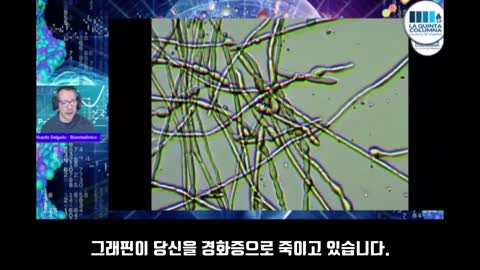 화이자 한방울 분석 (2022.12.26)