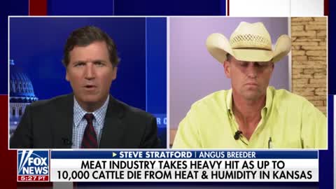 Tucker Carlson speaks with an Angus breeder after cattle dropped dead from extreme heat in Kansas.