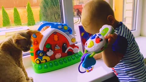 Baby planning with cat and music toys