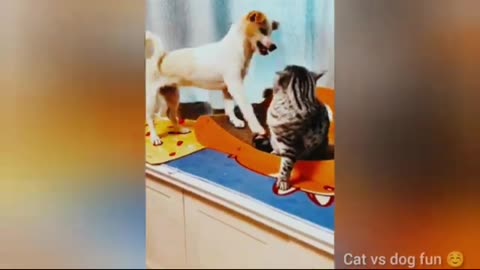 Pets cartoon