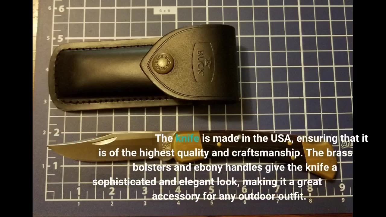 Customer Comments: Buck Knives 110 Folding Hunter Lock-back Knife, Brass Bolsters, Ebony Handle...