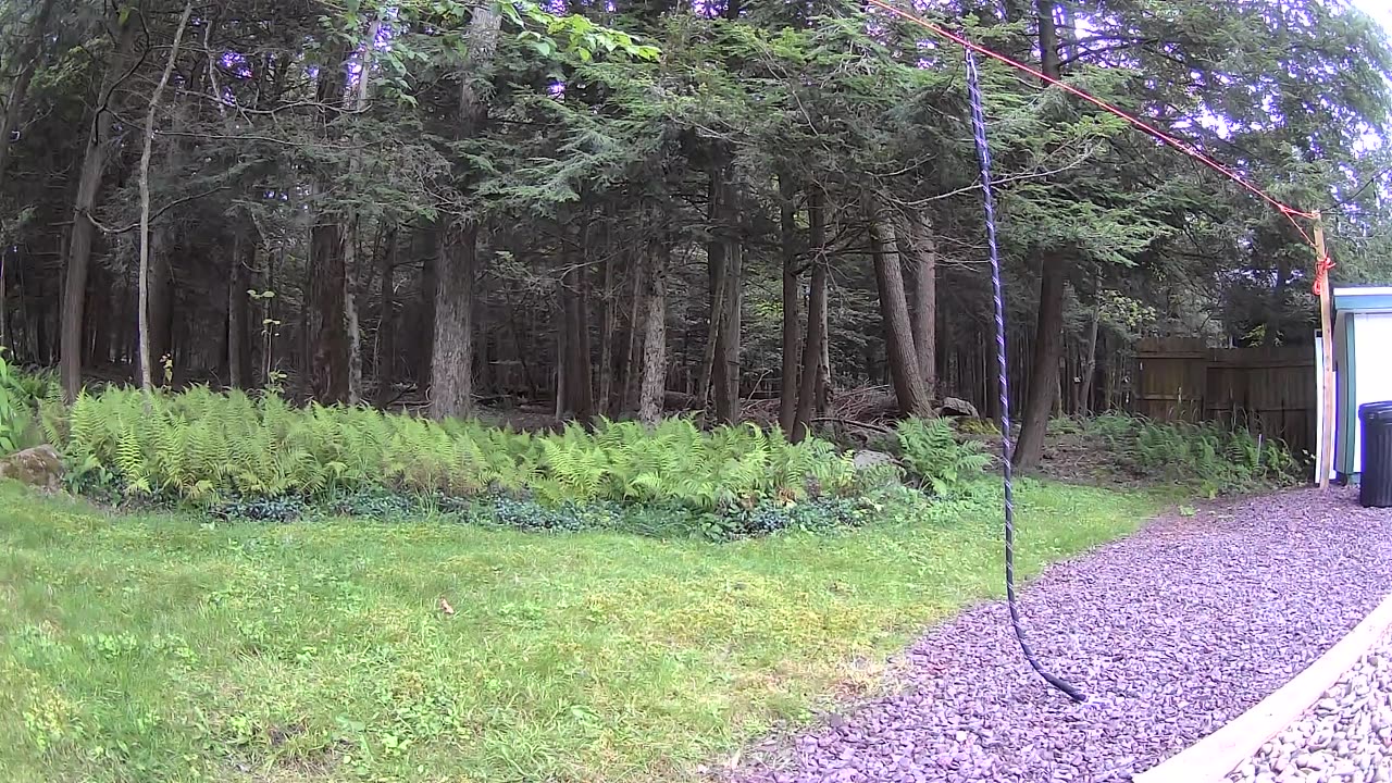Cannn_____u________spot_______the______trees and trees