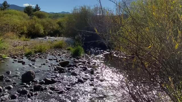 Sunlight on a Mountain Stream