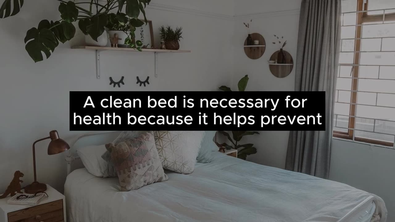 Why clean bed is necessary for health