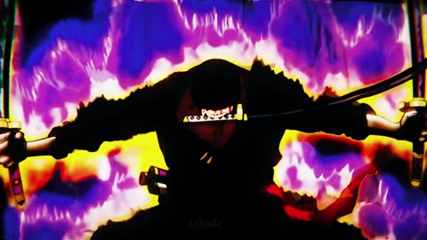Zoro vs kaido