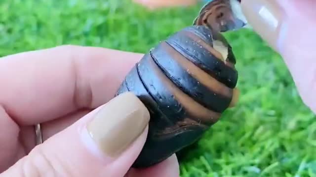 Cut the hard shell before you can use it for the little honey squirrel