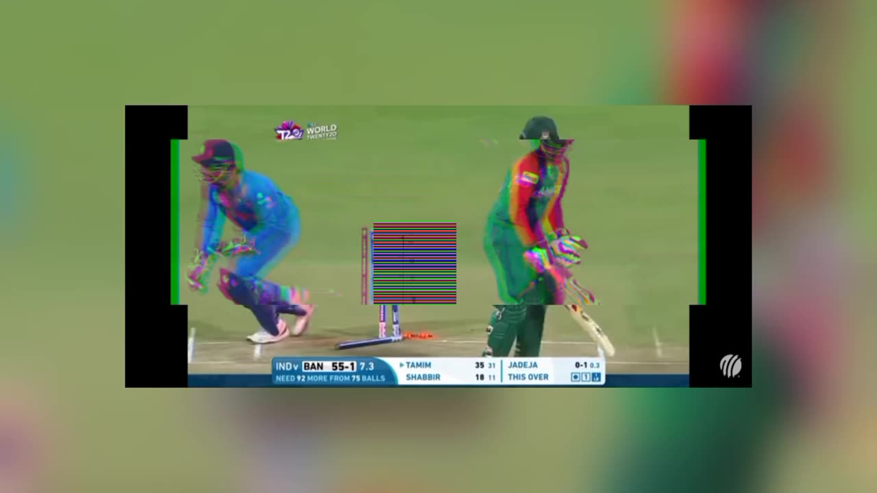 Cricket video