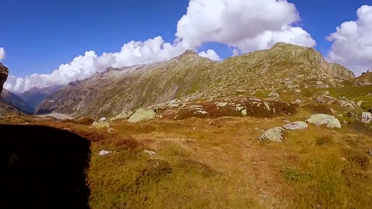 Relaxing Music - Sleep Music