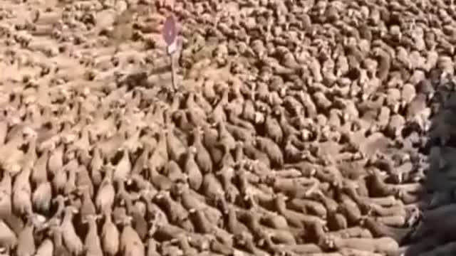 Sta accadendo in tutto il mondo, in molti posti...