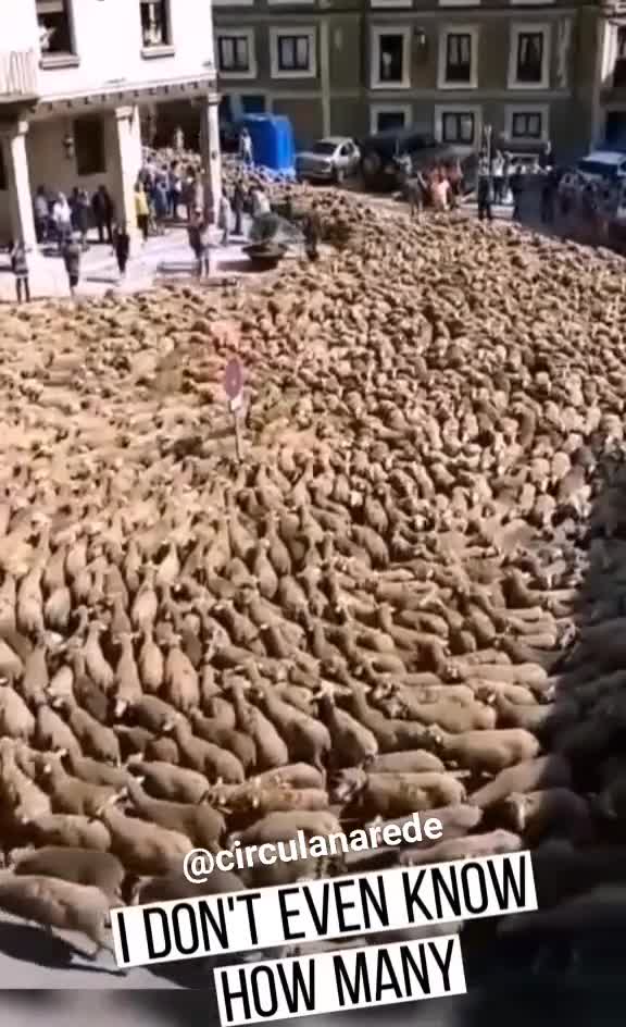 Sta accadendo in tutto il mondo, in molti posti...