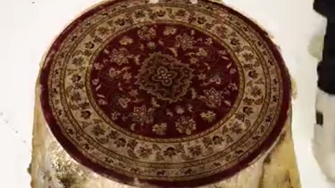Frozen Solid Carpet Cleaning! Satisfying ASMR Carpet Clean. #shorts