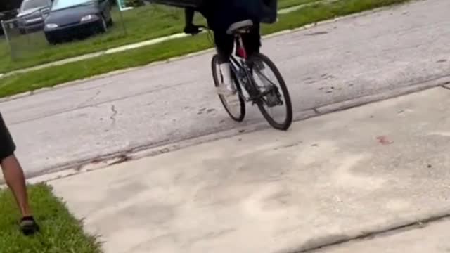 Video Funny 001