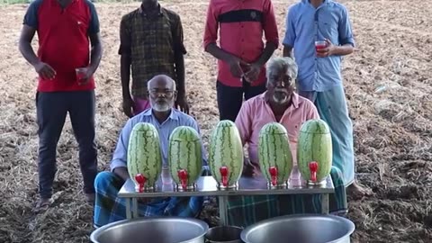 Making WATERMELON JUICE