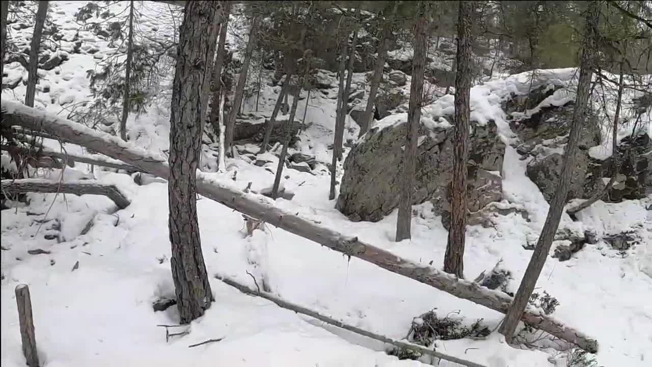 Kettle River Hike! Lots of fresh snow. I almost fell into the River!