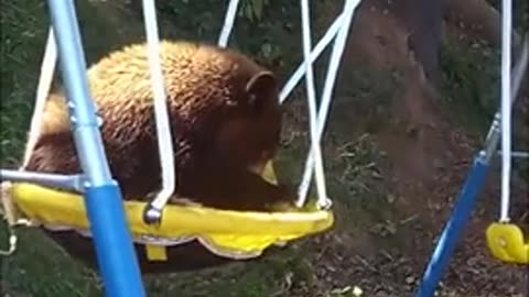 I am commandeering your swing set for a time 🤣