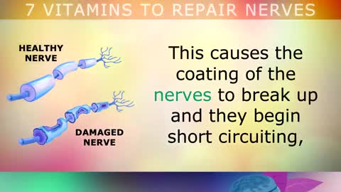 The TOP 7 Vitamins To Repair Your Nerves
