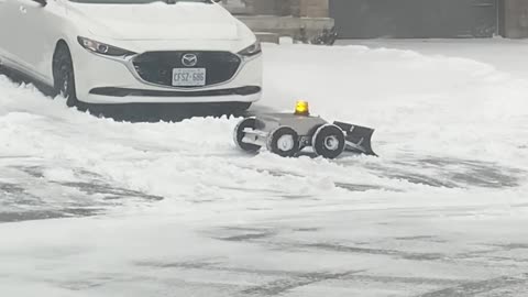 A Tiny Helper In Canadian Winter