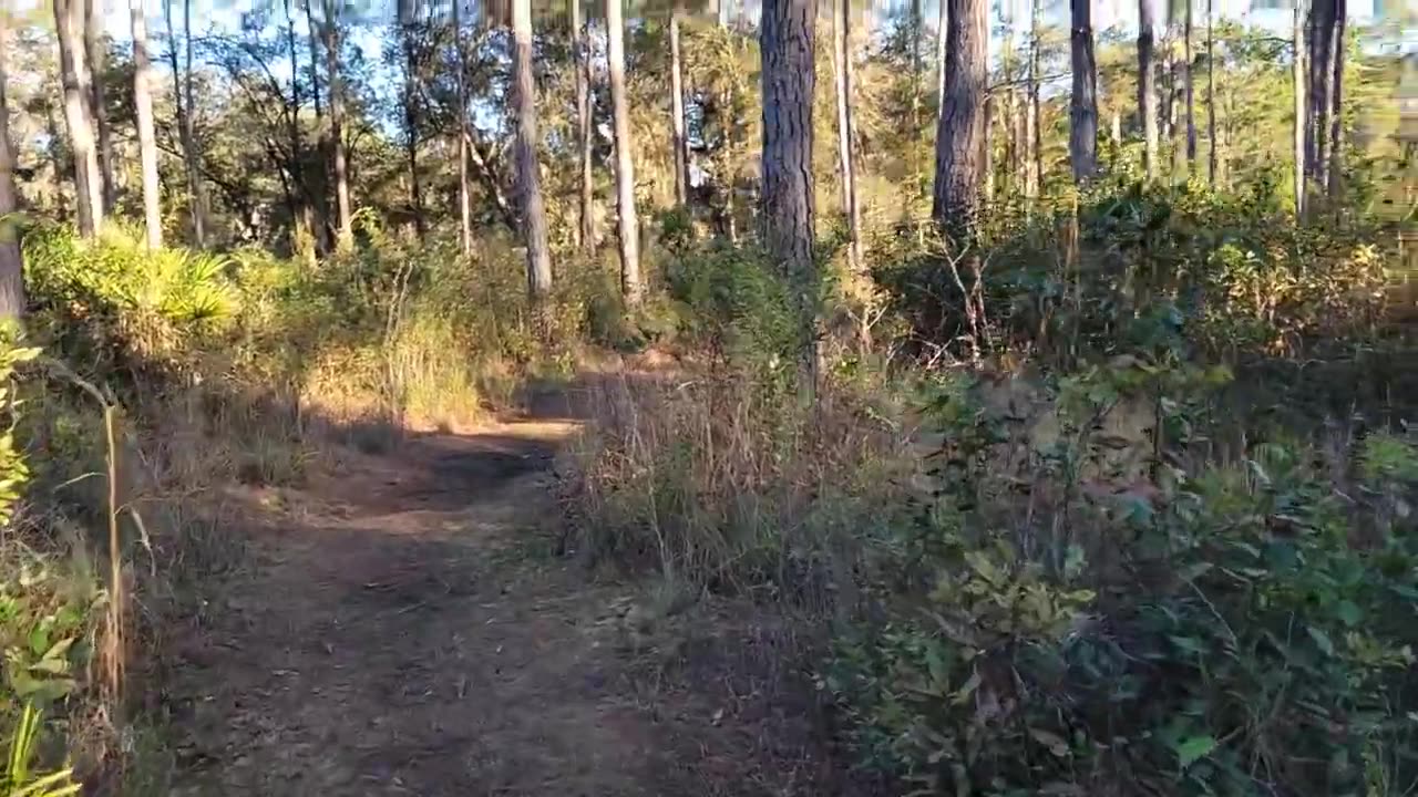 Mirror|Simply Starry Sustainable Living With God|YEP SOME MAY NOT LIKE THIS!