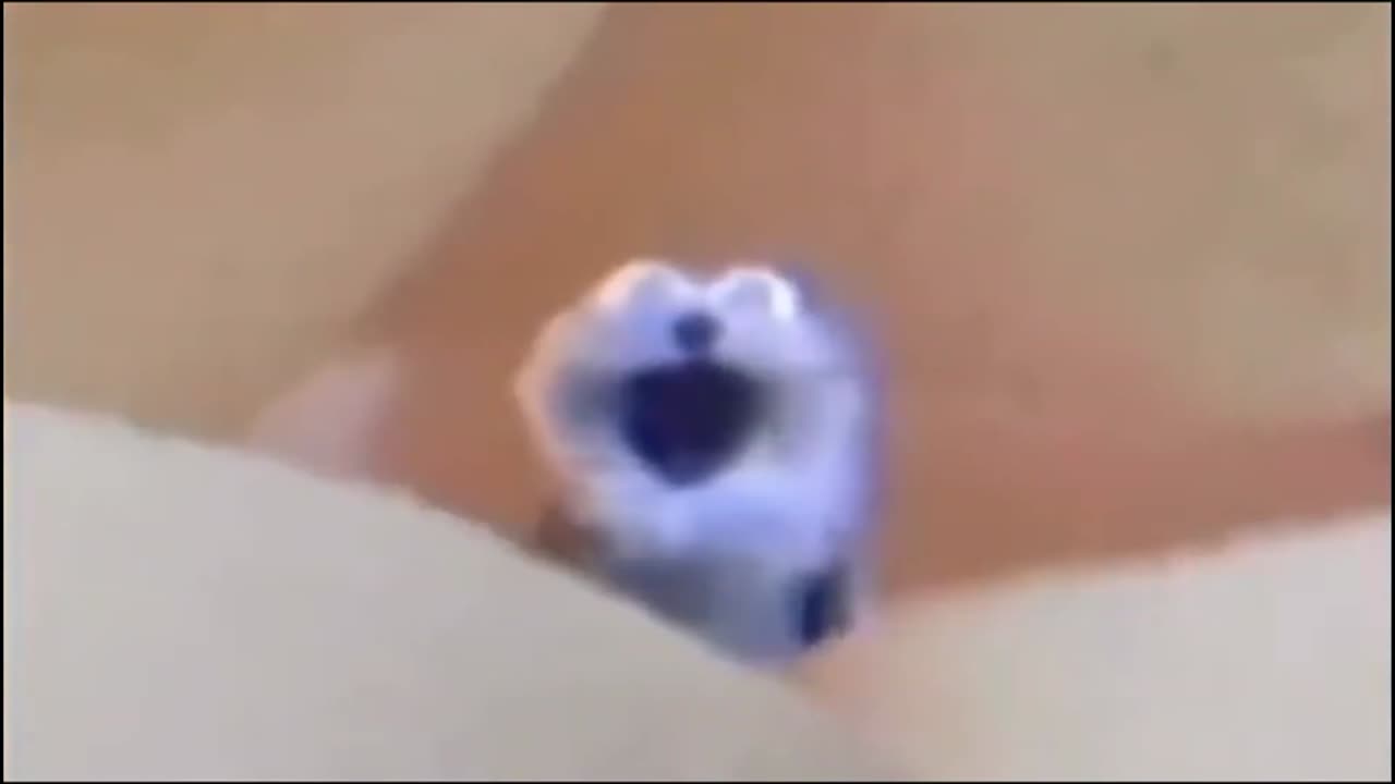 Yelling Blue Thing