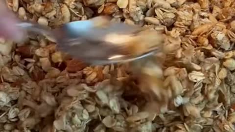 An irresistible mix of nuts