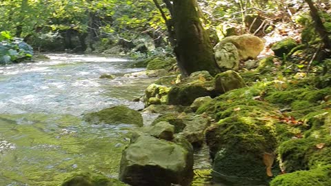 A calm presence and flow of the river bei