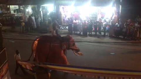 Perahera