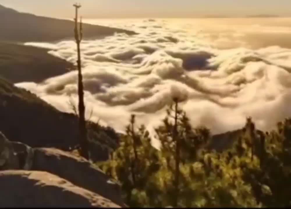 Great is the Lord... 😍