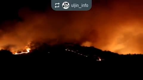 Most devastating wildfires in 22 years ravage South Korea’s