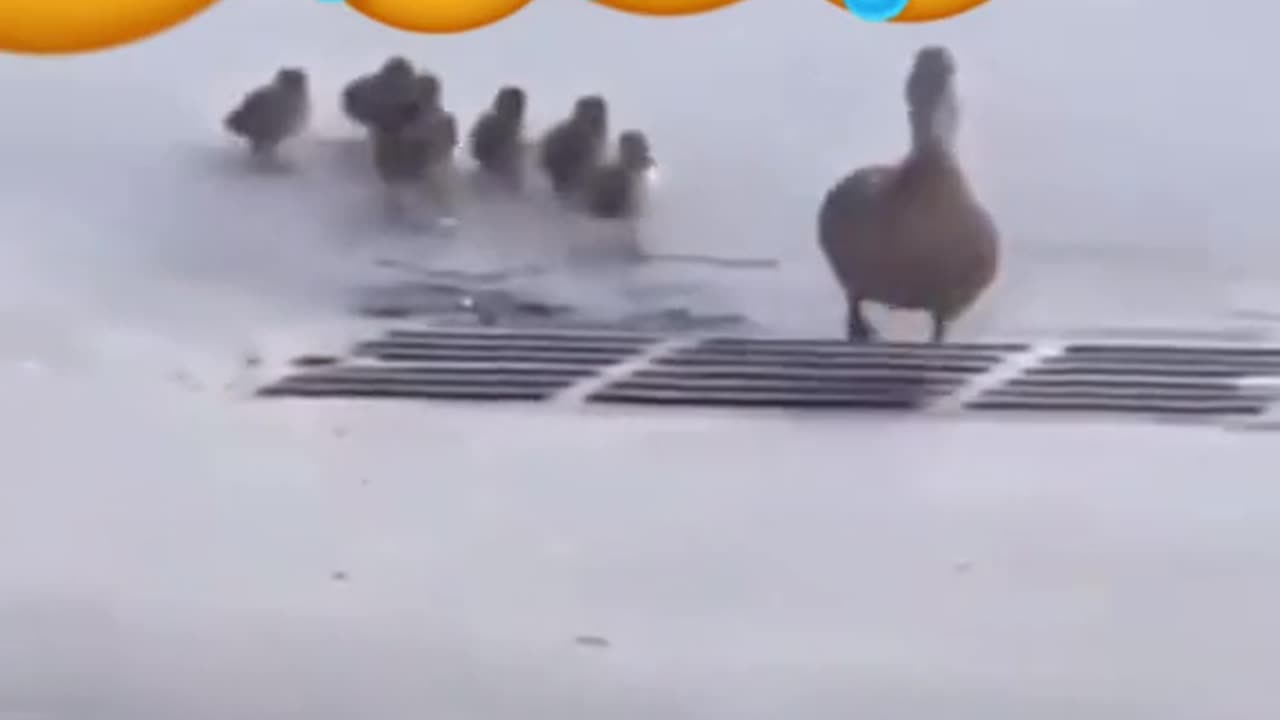 #life