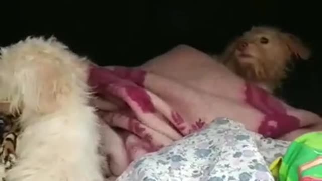 This is a real hell!