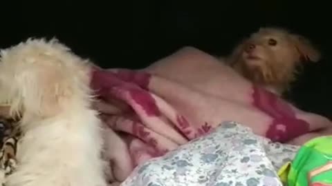 This is a real hell!